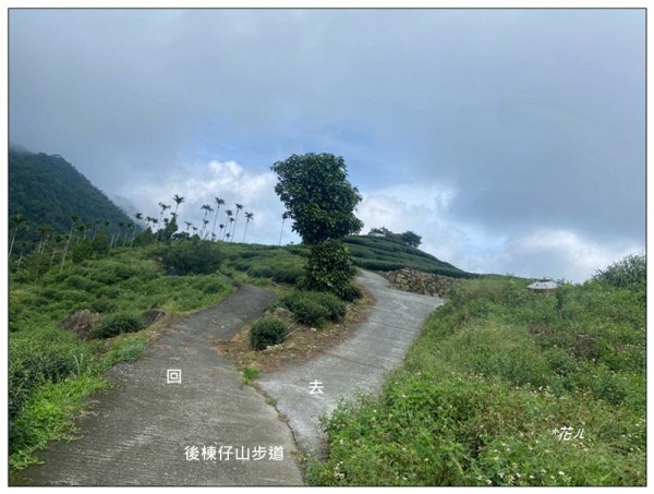 後棟仔山 O型路線2833447