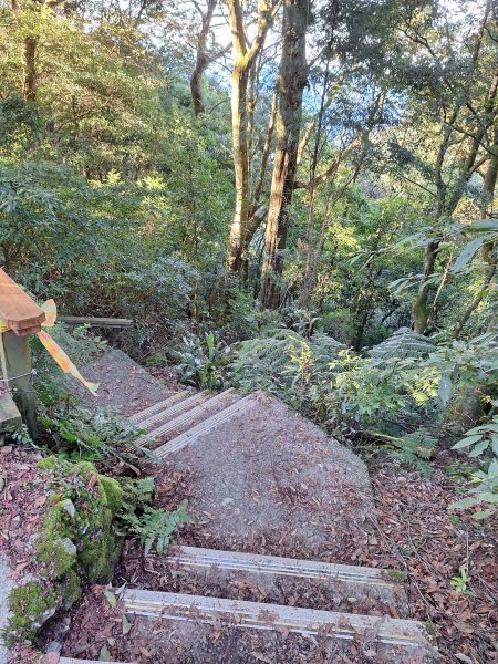 屋我尾山+G(大雪山進老鷹谷出)O型202502162713576