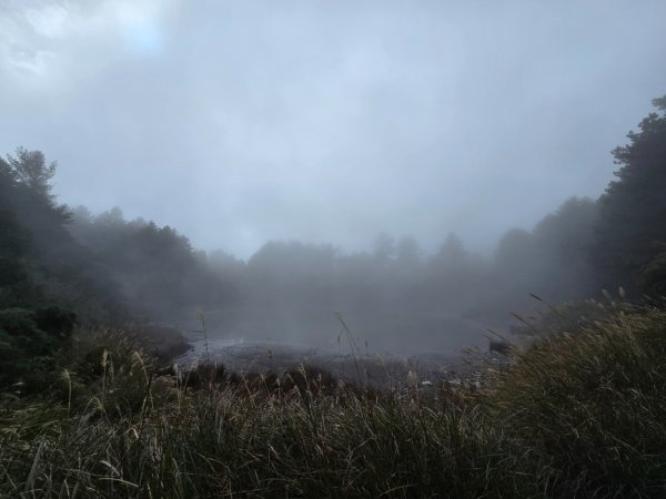 大雪山國家森林遊樂區賞楓／看神木／賞雪白山頭／賞大景2974313