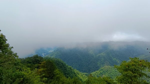 波津加山之鎮山犬1757393