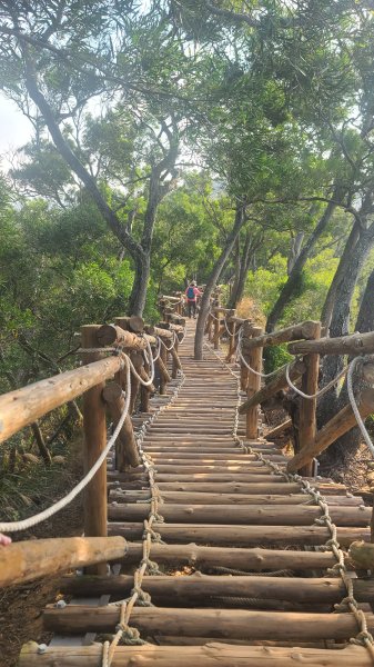 2026-0118新竹新埔文山步道2984653