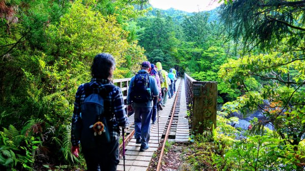 南九州－屋久島繩文杉步道3063477
