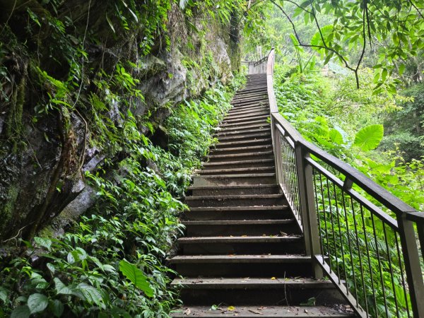 埔里觀音瀑布、天旨宮鰲頭山步道3093794