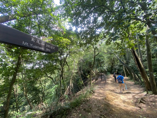 2025微笑山線大縱走尋寶集章任務-Ep.03【鳶山山系】鳶山彩壁段2893713