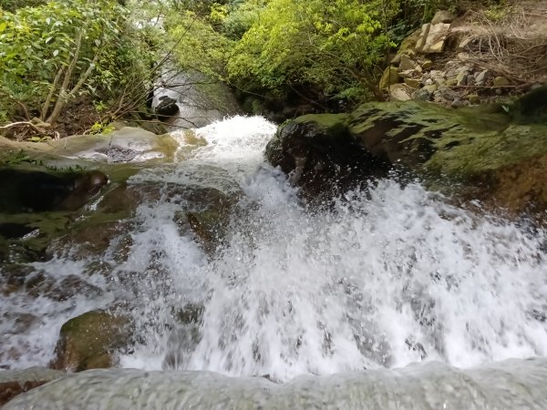 雙溪區石壁坑橋+平林山+武山煤礦土地公+上林山稜線+彎穹越嶺古道+石壁坑橋O型2991275