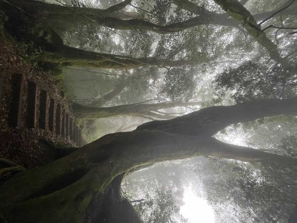 20230924_大湖尖山、大凍山（嘉義縣小百岳）2762747