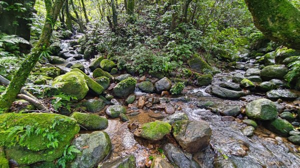 楊廷理古道2814602