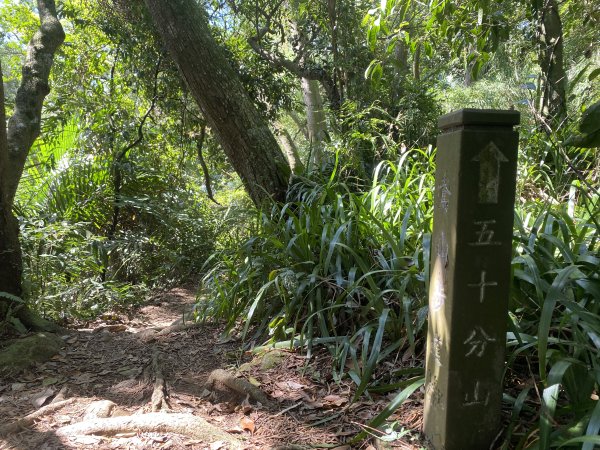 2025微笑山線大縱走尋寶集章任務-Ep.03【鳶山山系】鳶山彩壁段2893676