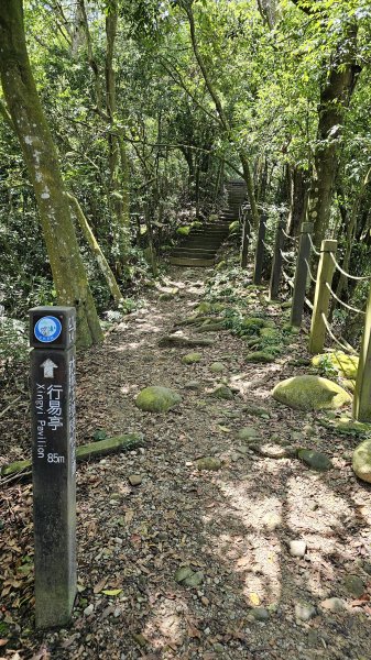 240915-小百岳#041頭嵙山。美美兔挑戰台中後花園-大坑153步道O繞。2627034