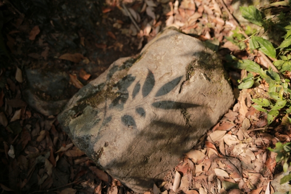 嘎拉賀：溫泉古道95472