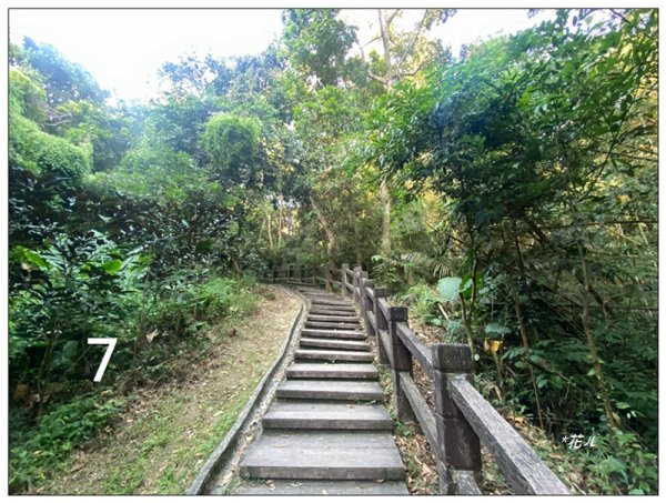 軍功寮山、大坑9、7、6、9-1步道 O型一圈2950815