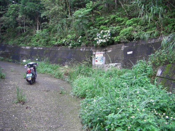 赫威神木群步道&赫威山200907301955194