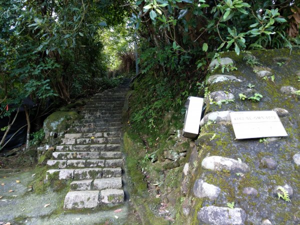 風櫃口步道1453869