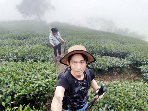 【梨子腳山】2019/11/02720220
