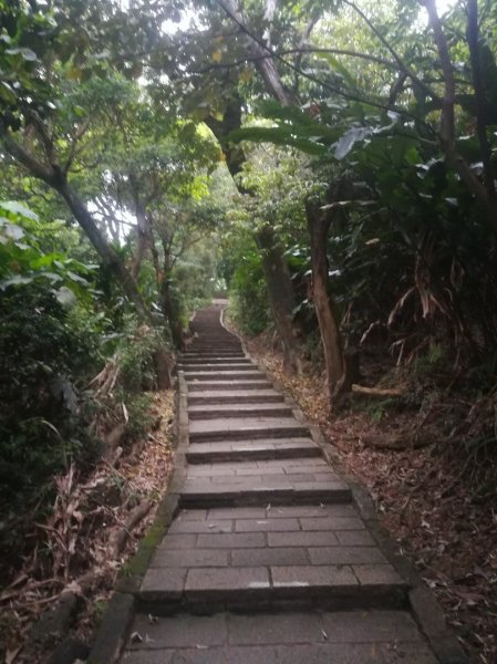 小百岳013號～南港山，幾乎整路爬樓梯，不怕樓梯者限定1348560