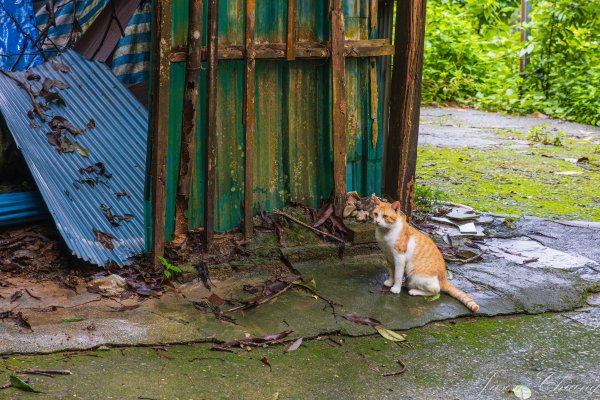 [屏東]笠頂山2847887