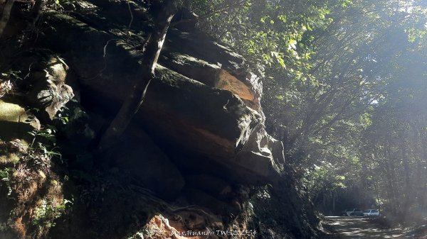《新竹》斷崖神木｜北得拉曼步道小P繞202510172917456