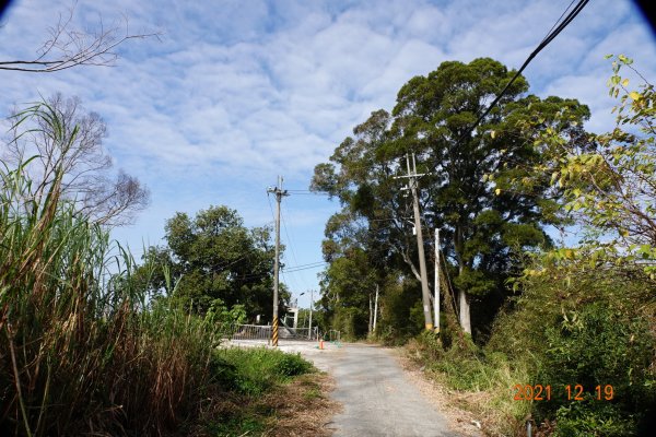 臺中 東勢 東勢山1555388