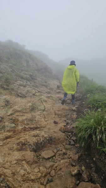 240811-山形信仰之山-月山（がっさん）。美美兔特選日本百名山之一。2603786