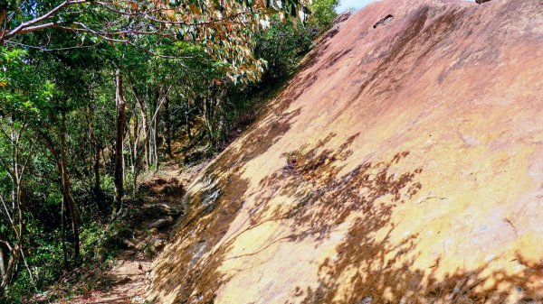 筆架山越嶺2918237