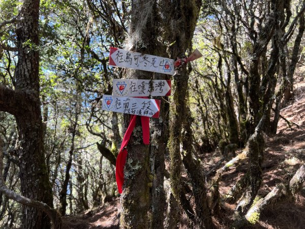 【駒盆西稜上馬博下嘆息灣D4】僕落西擴山、烏可冬克山與哈伊拉羅南源2444073