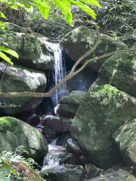 台北大縱走第四段2766847