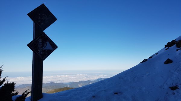 白雪玉山王者再臨916404