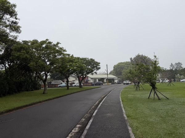 [樟之細路_第一大段RSA03] 2026_0329 石園3027057