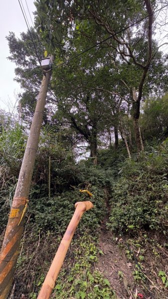 迷霧2986972