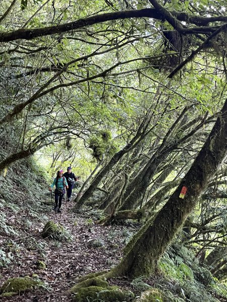 砂卡噹三雄(立霧山.清水大山.千里眼山) 2023/09/17~192296521