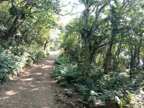 頭城鎮外澳車站+石空古道+太和山步道+蛇頭觀景台+象寮古道+烏山古道+外澳車站O型3018443