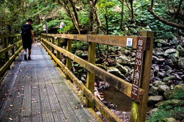 滿月圓森林步道2870088