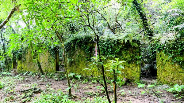 石笋古道,焿子寮古道,松子嶺古道2798350