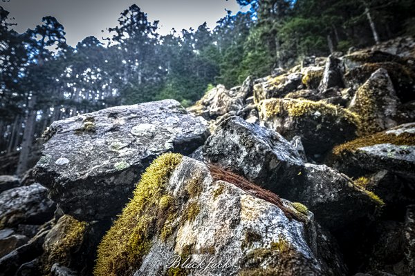 雪山主峰一日單攻963323