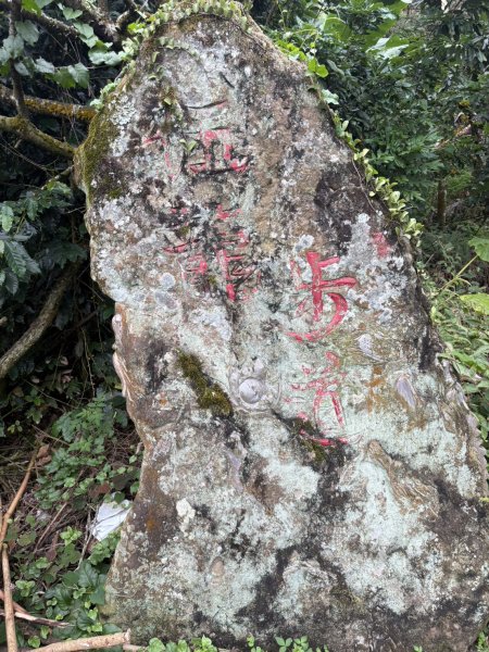 20251019伍龍步道-梅峰-竹子尖山-福光山2924081