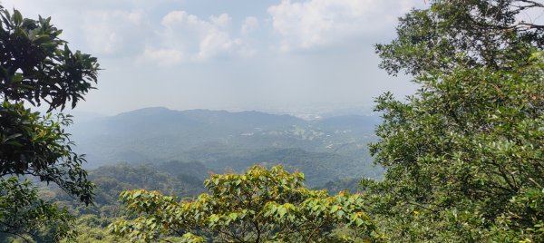 頭嵙山、聚興山3123080