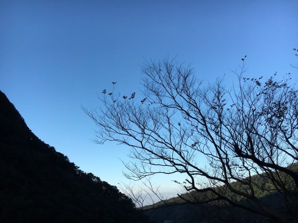 20170101青山瀑布298342