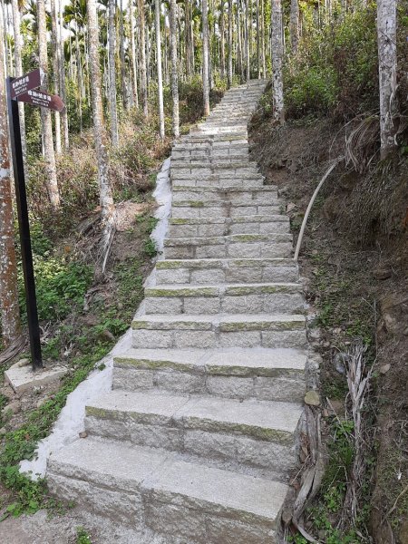 樟湖山、後棟仔山、大尖山、二尖山4山連走1337061