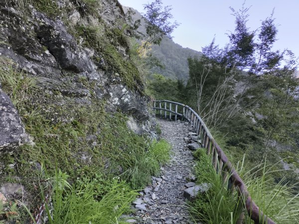 [玉山尋寶任務-07/12] 2025_0824 八通關雲龍瀑布步道2870484