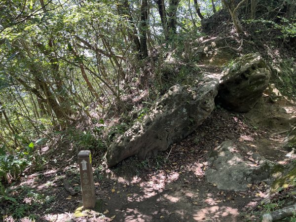 [微笑山線_第九段] 2025_0914 二格山系_天王峰2889541