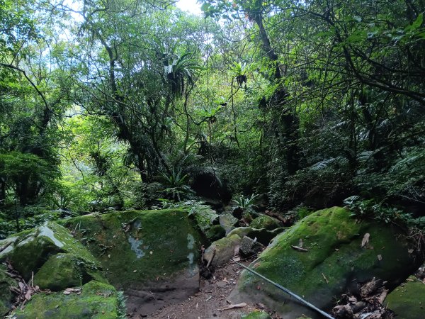 微笑山線二格山系銀河洞越嶺段2986119