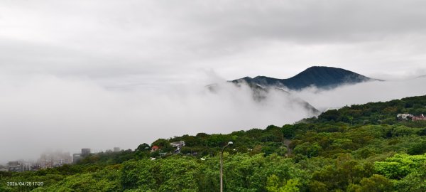 #文化大學 #雲海 #琉璃光 #陽明山秘境 4/253042458