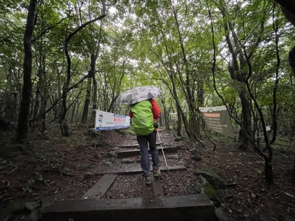 1140811 KR 漢拏山杜鵑花田避難所-紗羅岳觀景臺2860085