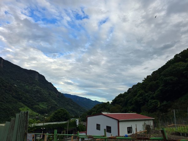 觀高山屋／龍貓公車／八通關山／八通關山西峰2927360