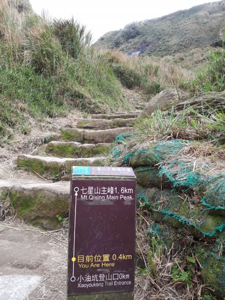 七星山(台灣百大必訪步道)1644421