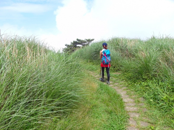 二子坪 面天山 向天山步道 大屯山西峰39847