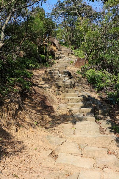 金面山。九蓮寺523746