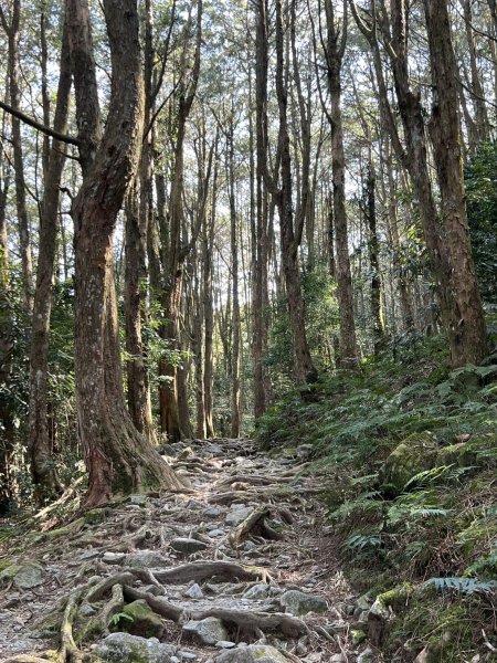 小百岳-稍來山2752436