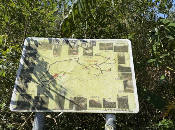 [淡蘭古道] 2026_0315 南路第三段_四分子古道3016915