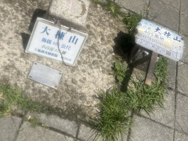 大棟山3108524
